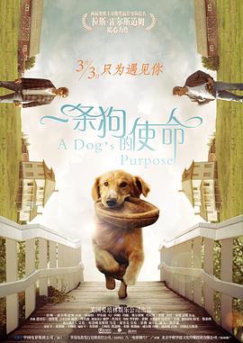 人与畜禽corporati